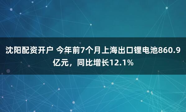 沈阳配资开户 今年前7个月上海出口锂电池860.9亿元，同比增长12.1%