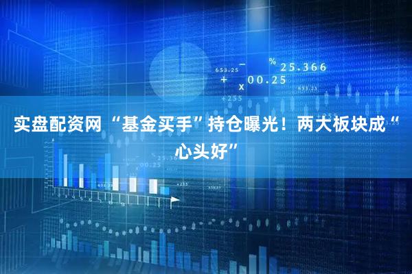 实盘配资网 “基金买手”持仓曝光！两大板块成“心头好”