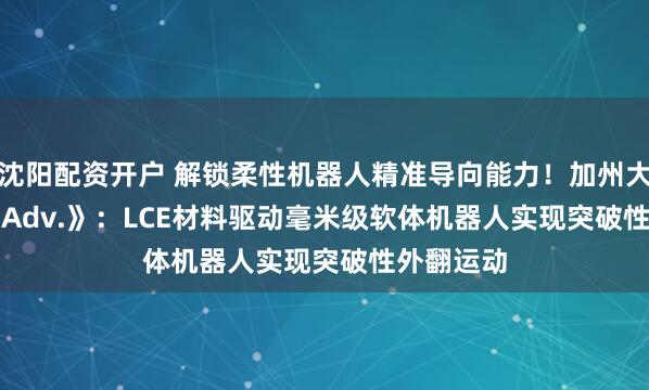 沈阳配资开户 解锁柔性机器人精准导向能力！加州大学《Sci. Adv.》：LCE材料驱动毫米级软体机器人实现突破性外翻运动
