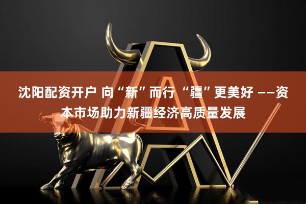 沈阳配资开户 向“新”而行 “疆”更美好 ——资本市场助力新疆经济高质量发展