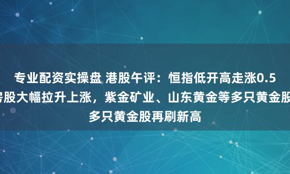 专业配资实操盘 港股午评：恒指低开高走涨0.51%，内房股大幅拉升上涨，紫金矿业、山东黄金等多只黄金股再刷新高