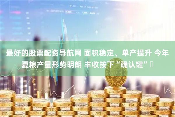 最好的股票配资导航网 面积稳定、单产提升 今年夏粮产量形势明朗 丰收按下“确认键”‌